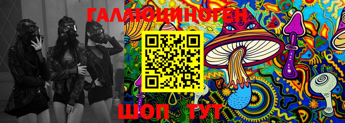 Елизово  Галлюциногенные грибы MAGIC MUSHROOMS  сколько стоит  Вход с VPN 